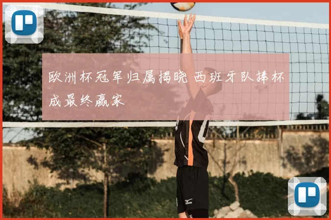 欧洲杯冠军归属揭晓 西班牙队捧杯成最终赢家