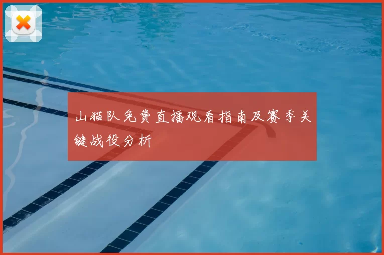 山猫队免费直播观看指南及赛季关键战役分析