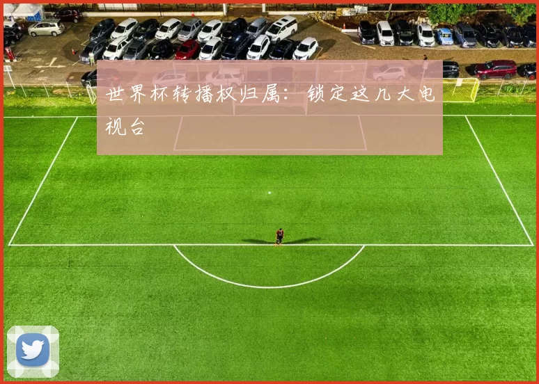世界杯转播权归属:锁定这几大电视台