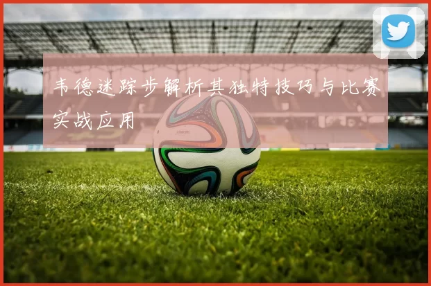 韦德迷踪步解析其独特技巧与比赛实战应用