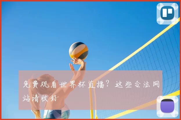 免费观看世界杯直播？这些合法网站请收好