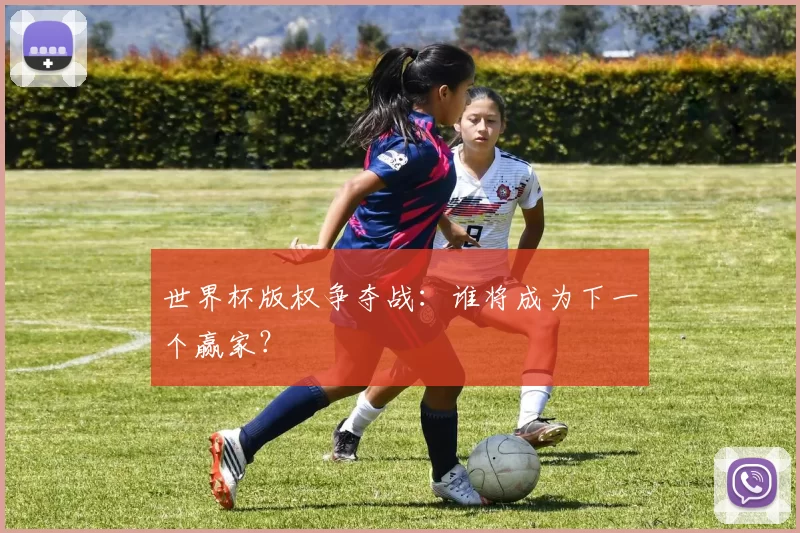世界杯版权争夺战:谁将成为下一个赢家?