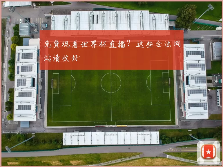 免费观看世界杯直播?这些合法网站请收好
