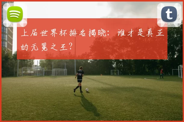 上届世界杯排名揭晓:谁才是真正的无冕之王?