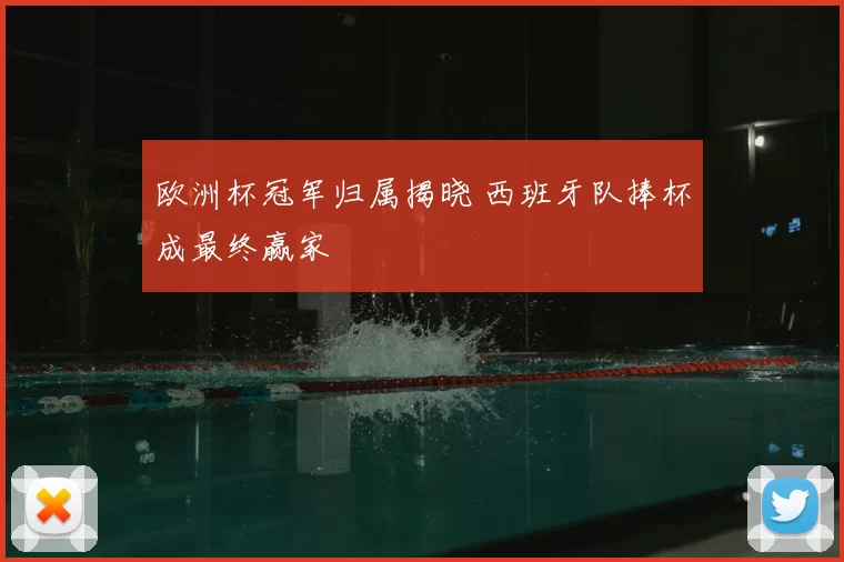 欧洲杯冠军归属揭晓 西班牙队捧杯成最终赢家