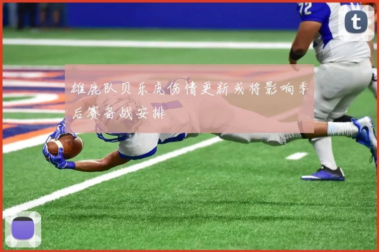 雄鹿队贝乐虎伤情更新或将影响季后赛备战安排