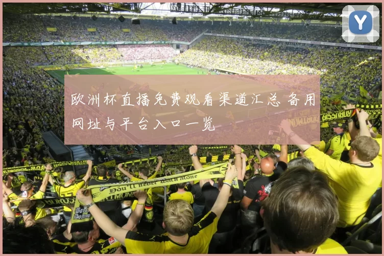 欧洲杯直播免费观看渠道汇总 备用网址与平台入口一览