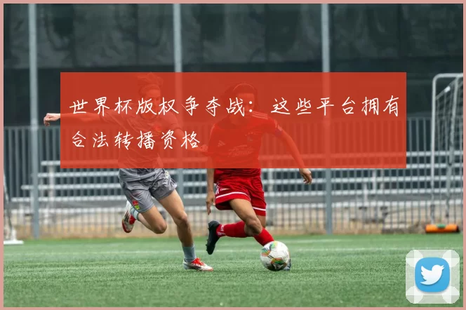世界杯版权争夺战:这些平台拥有合法转播资格