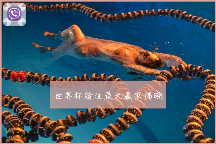 世界杯赌注最大赢家揭晓