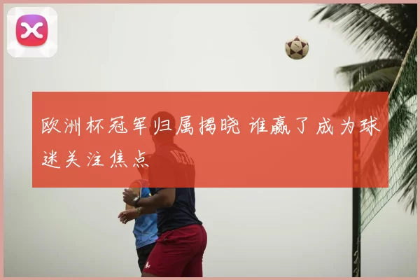 欧洲杯冠军归属揭晓 谁赢了成为球迷关注焦点
