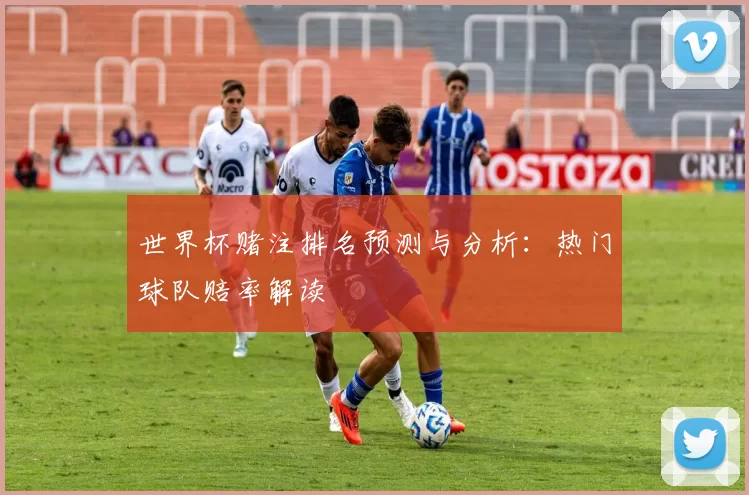 世界杯赌注排名预测与分析:热门球队赔率解读