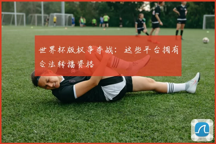 世界杯版权争夺战：这些平台拥有合法转播资格