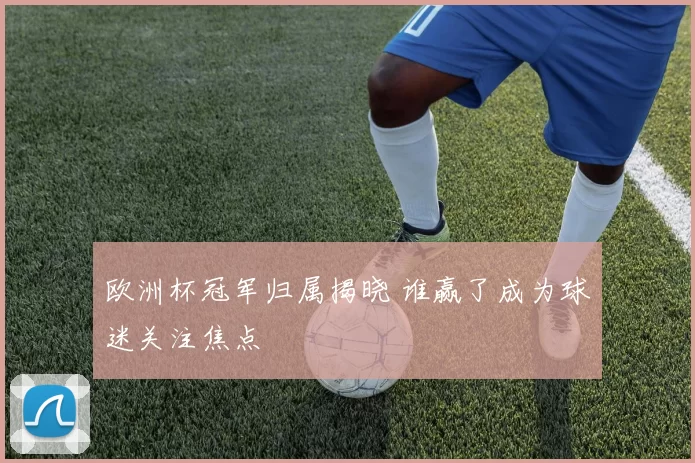 欧洲杯冠军归属揭晓 谁赢了成为球迷关注焦点