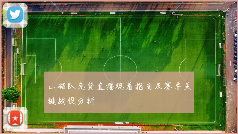 山猫队免费直播观看指南及赛季关键战役分析