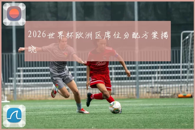 2026世界杯欧洲区席位分配方案揭晓